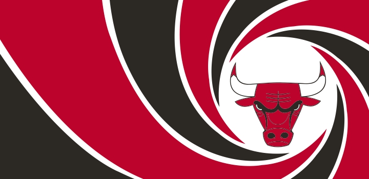 007 Chicago Bulls logo vinyl decal